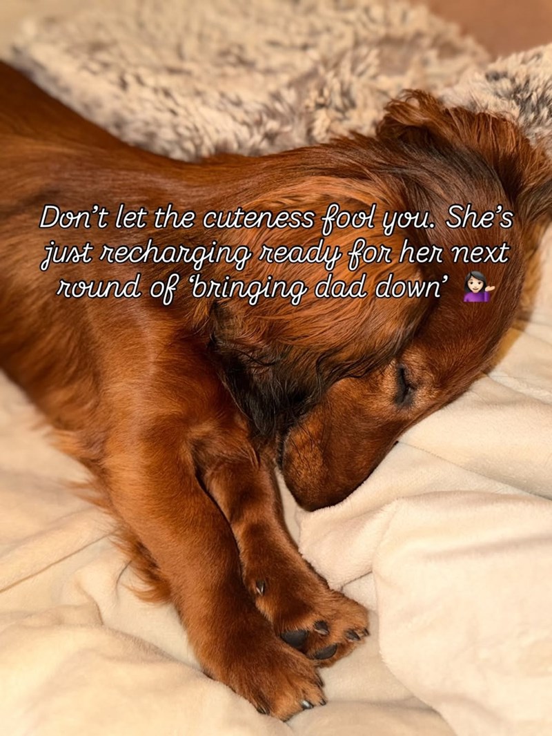 Don't let the cuteness fool you. She's just recharging ready for her next round of bringing dad down' -