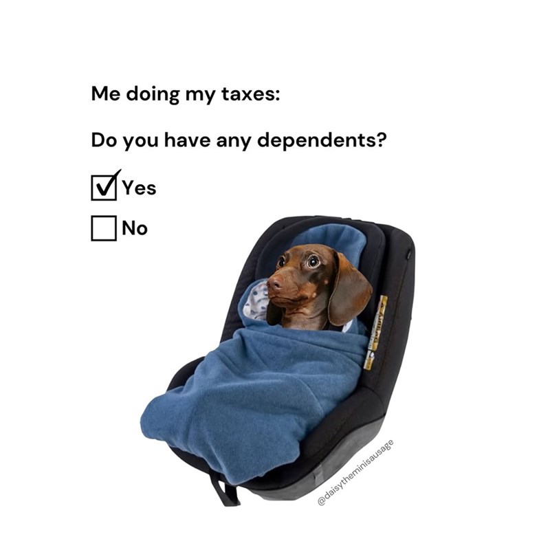 Me doing my taxes: Do you have any dependents? ✓ Yes No @daisytheminisausage