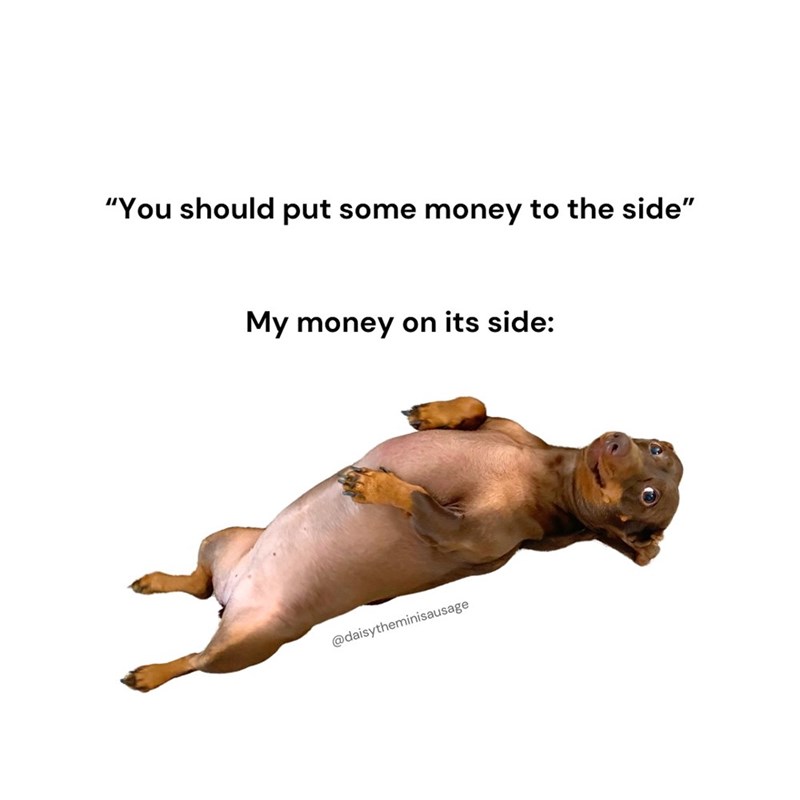 "You should put some money to the side" My money on its side: @daisytheminisausage
