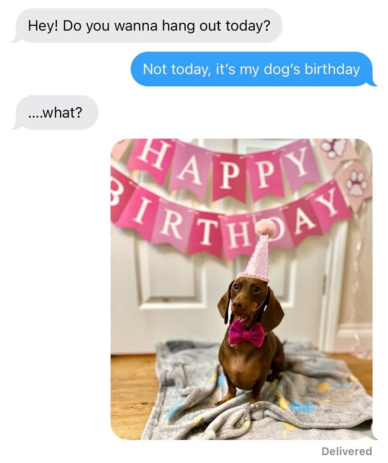 Hey! Do you wanna hang out today? Not today, it's my dog's birthday ....what? HAPPY IRTHDAY Delivered