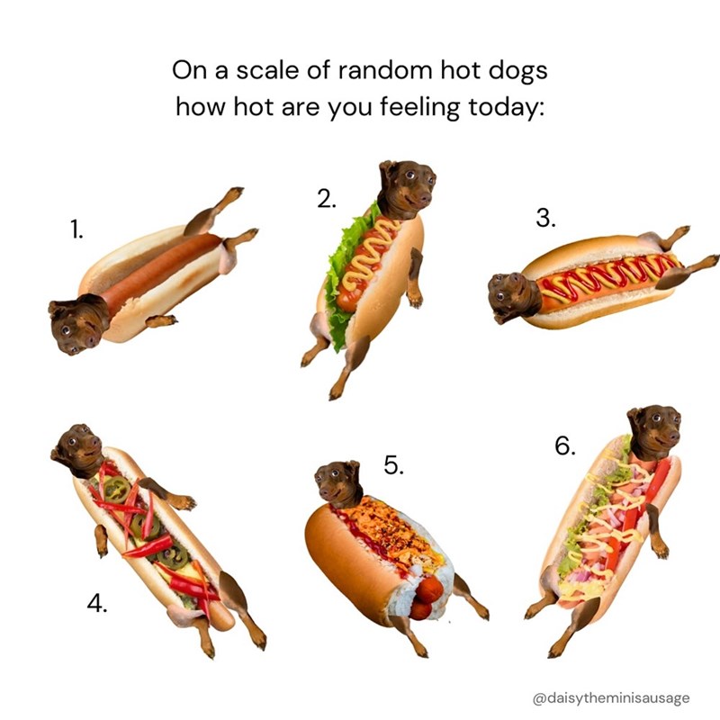 1. 4. On a scale of random hot dogs how hot are you feeling today: 2. 5. 3. www 6. @daisytheminisausage