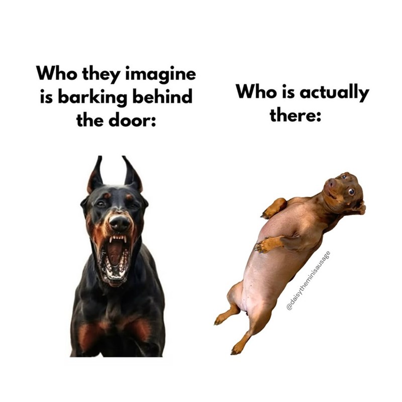 Who they imagine is barking behind the door: Who is actually there: @daisytheminisausage