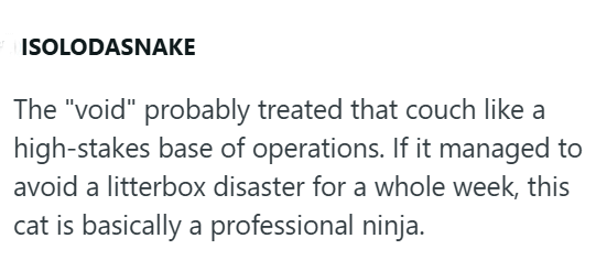 ISOLODASNAKE The "void" probably treated that couch like a high-stakes base of operations. If it managed to avoid a litterbox disaster for a whole week, this cat is basically a professional ninja.