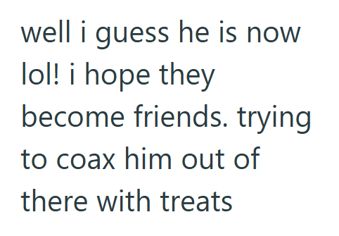 well i guess he is now lol! i hope they become friends. trying to coax him out of there with treats