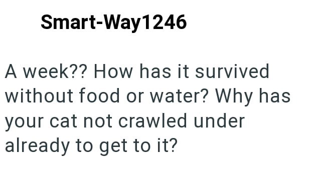 Smart-Way1246 A week?? How has it survived without food or water? Why has your cat not crawled under already to get to it?