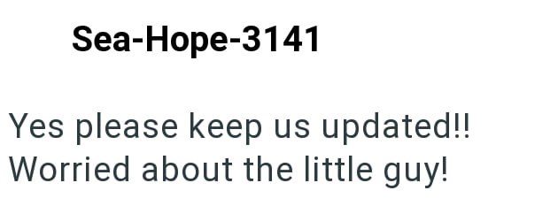 Sea-Hope-3141 Yes please keep us updated!! Worried about the little guy!
