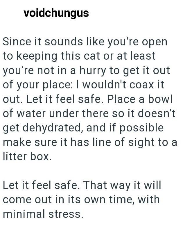 voidchungus Since it sounds like you're open to keeping this cat or at least you're not in a hurry to get it out of your place: I wouldn't coax it out. Let it feel safe. Place a bowl of water under there so it doesn't get dehydrated, and if possible make sure it has line of sight to a litter box. Let it feel safe. That way it will come out in its own time, with minimal stress.