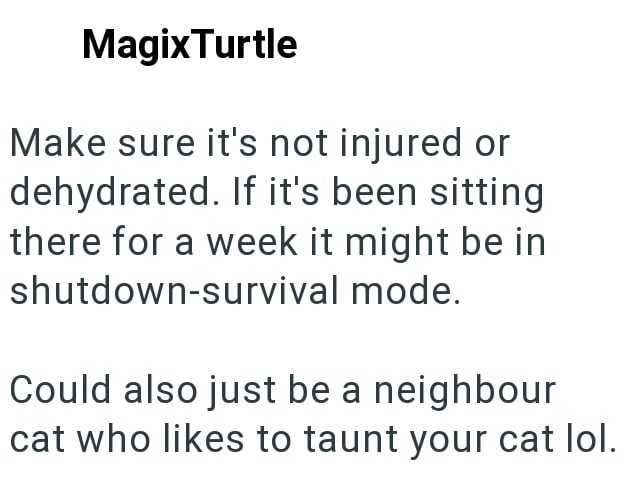 MagixTurtle Make sure it's not injured or dehydrated. If it's been sitting there for a week it might be in shutdown-survival mode. Could also just be a neighbour cat who likes to taunt your cat lol.