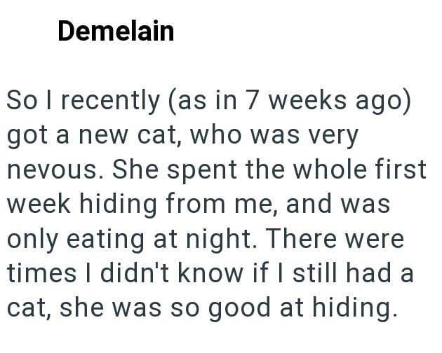 Demelain So I recently (as in 7 weeks ago) got a new cat, who was very nevous. She spent the whole first week hiding from me, and was only eating at night. There were times I didn't know if I still had a cat, she was so good at hiding.
