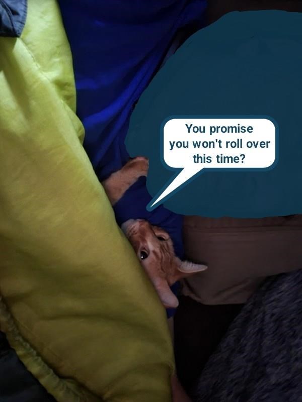 Cheezburger Image 10613242112