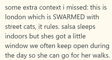 some extra context i missed: this is london which is SWARMED with street cats, it rules. salsa sleeps indoors but shes got a little window we often keep open during the day so she can go for her walks.