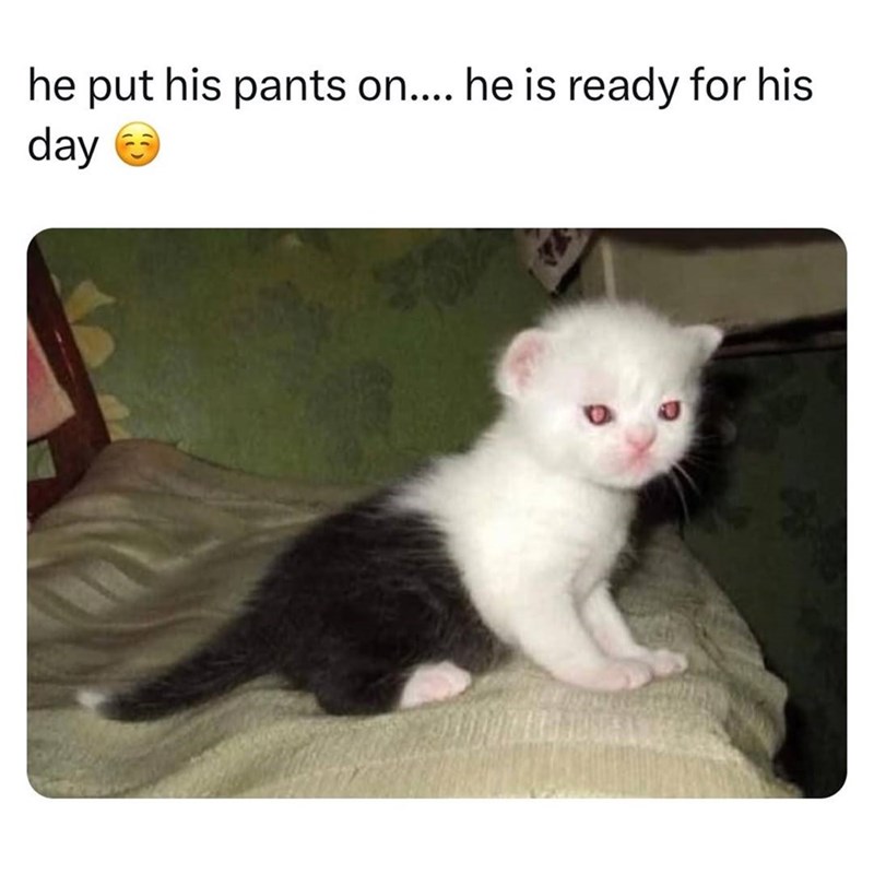 he put his pants on.... he is ready for his day