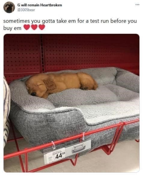 G will remain Heartbroken @3005bear sometimes you gotta take em for a test run before you buy em 4499