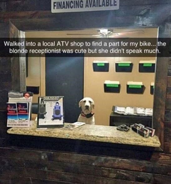 FINANCING AVAILABLE Walked into a local ATV shop to find a part for my bike... the blonde receptionist was cute but she didn't speak much.
