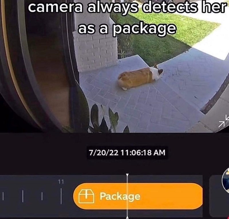 camera always detects her as a package 7/20/22 11:06:18 AM Package