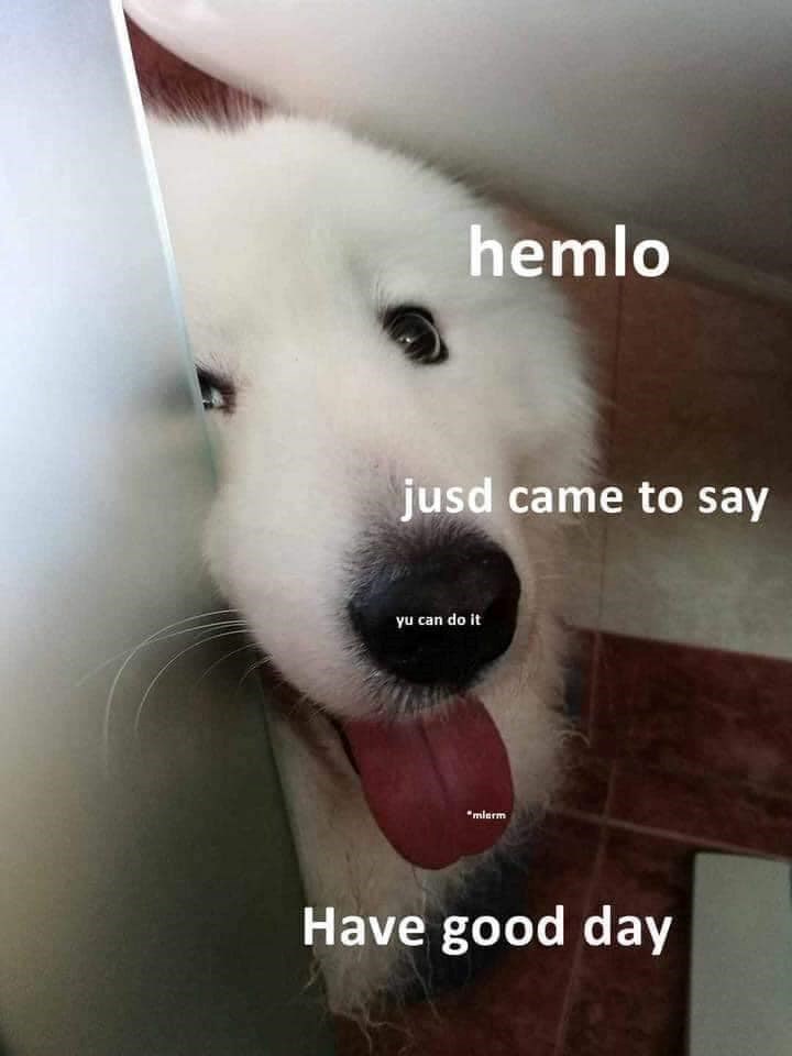 hemlo jusd came to say yu can do it "mlerm Have good day