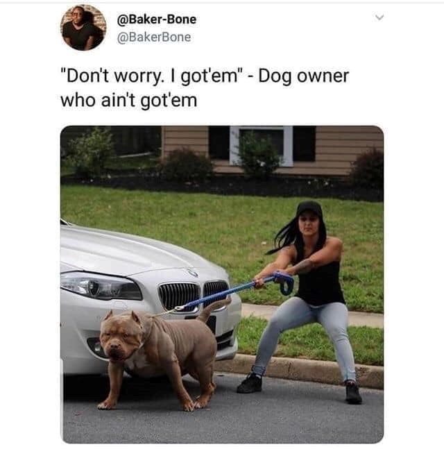 @Baker-Bone @BakerBone "Don't worry. I got'em" - Dog owner who ain't got'em