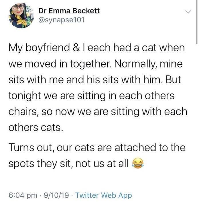 Dr Emma Beckett @synapse101 My boyfriend & I each had a cat when we moved in together. Normally, mine sits with me and his sits with him. But tonight we are sitting in each others chairs, so now we are sitting with each others cats. Turns out, our cats are attached to the spots they sit, not us at all 6:04 pm 9/10/19 Twitter Web App •