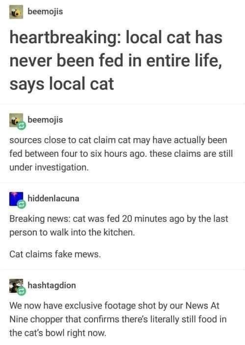 beemojis heartbreaking: local cat has never been fed in entire life, says local cat beemojis sources close to cat claim cat may have actually been fed between four to six hours ago. these claims are still under investigation. hiddenlacuna Breaking news: cat was fed 20 minutes ago by the last person to walk into the kitchen. Cat claims fake mews. hashtagdion We now have exclusive footage shot by our News At Nine chopper that confirms there's literally still food in the cat's bowl right now.