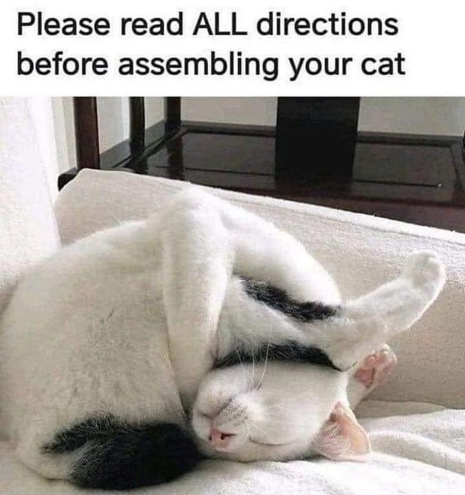 Please read ALL directions before assembling your cat