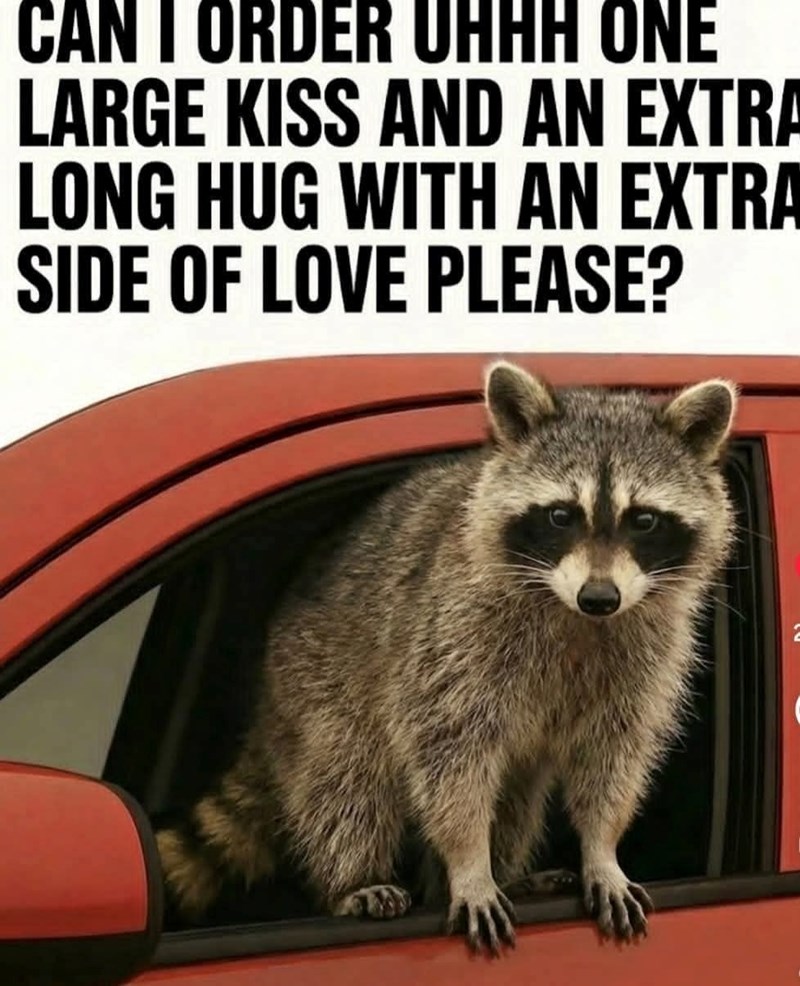 CAN I ORDER UHHH ONE LARGE KISS AND AN EXTRA LONG HUG WITH AN EXTRA SIDE OF LOVE PLEASE?