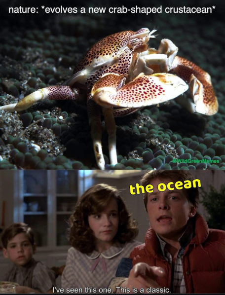 nature: *evolves a new crab-shaped crustacean* WildGreen Memes the ocean I've seen this one. This is a classic.