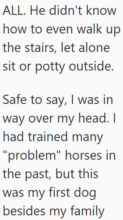 ALL. He didn't know how to even walk up the stairs, let alone sit or potty outside. Safe to say, I was in way over my head. I had trained many "problem" horses in the past, but this was my first dog besides my family