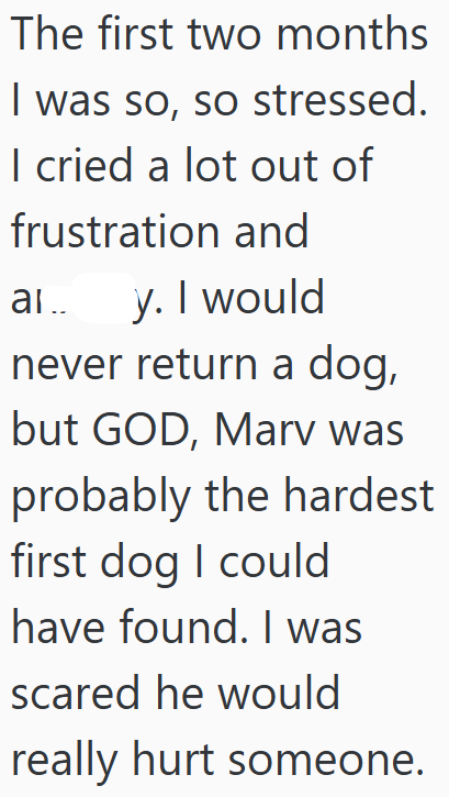 The first two months I was so, so stressed. I cried a lot out of frustration and al.. y. I would never return a dog, but GOD, Mary was probably the hardest first dog I could have found. I was scared he would really hurt someone.