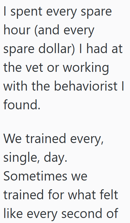 I spent every spare hour (and every spare dollar) I had at the vet or working with the behaviorist | found. We trained every, single, day. Sometimes we trained for what felt like every second of