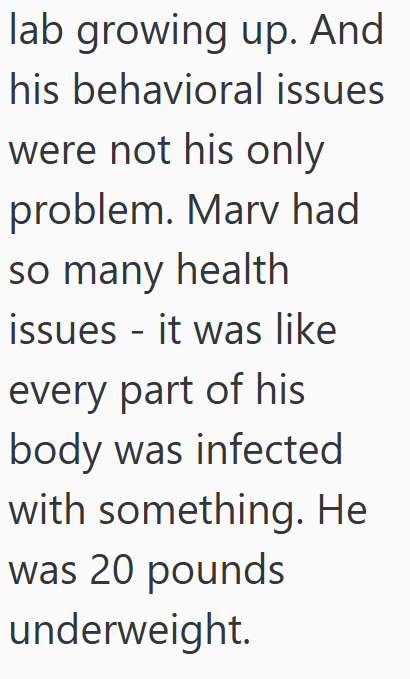 lab growing up. And his behavioral issues were not his only problem. Marv had so many health issues - it was like every part of his body was infected with something. He was 20 pounds underweight.