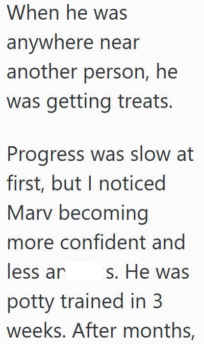 When he was anywhere near another person, he was getting treats. Progress was slow at first, but I noticed Marv becoming more confident and less ar s. He was potty trained in 3 weeks. After months,