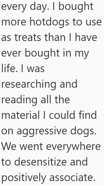 every day. I bought more hotdogs to use as treats than I have ever bought in my life. I was researching and reading all the material I could find on aggressive dogs. We went everywhere to desensitize and positively associate.