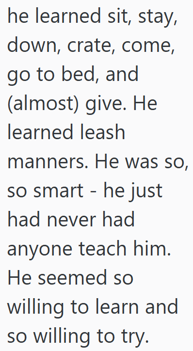 he learned sit, stay, down, crate, come, go to bed, and (almost) give. He learned leash manners. He was so, so smart - he just had never had anyone teach him. He seemed so willing to learn and so willing to try.