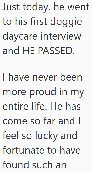 Just today, he went to his first doggie daycare interview and HE PASSED. I have never been more proud in my entire life. He has come so far and I feel so lucky and fortunate to have found such an