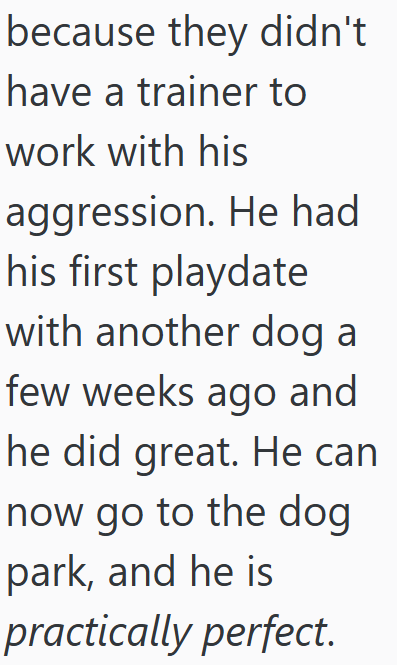 because they didn't have a trainer to work with his aggression. He had his first playdate with another dog a few weeks ago and he did great. He can now go to the dog park, and he is practically perfect.
