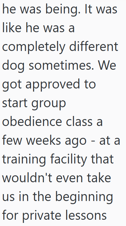 he was being. It was like he was a completely different dog sometimes. We got approved to start group obedience class a few weeks ago - at a training facility that wouldn't even take us in the beginning for private lessons