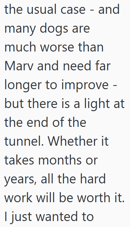 the usual case - and many dogs are much worse than Marv and need far longer to improve - but there is a light at the end of the tunnel. Whether it takes months or years, all the hard work will be worth it. I just wanted to