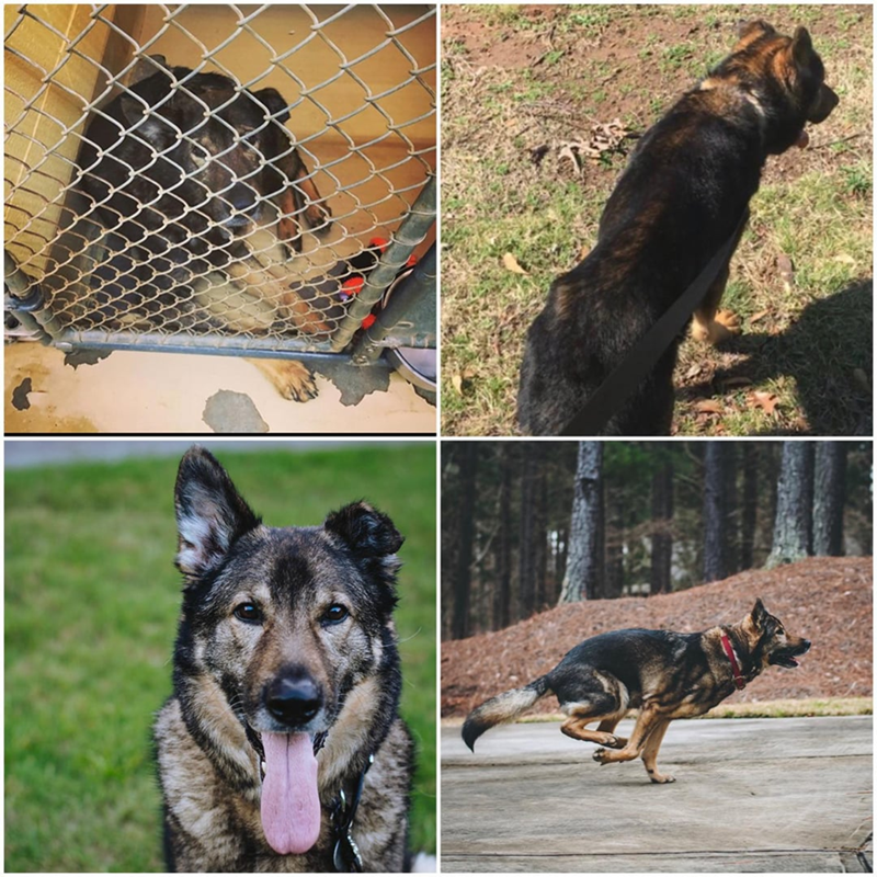 Cheezburger Image 10613280512