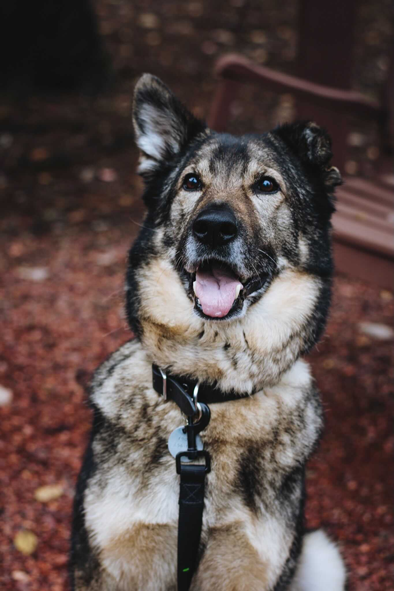 Cheezburger Image 10613280768