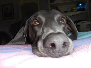 Cheezburger Image 10613281024