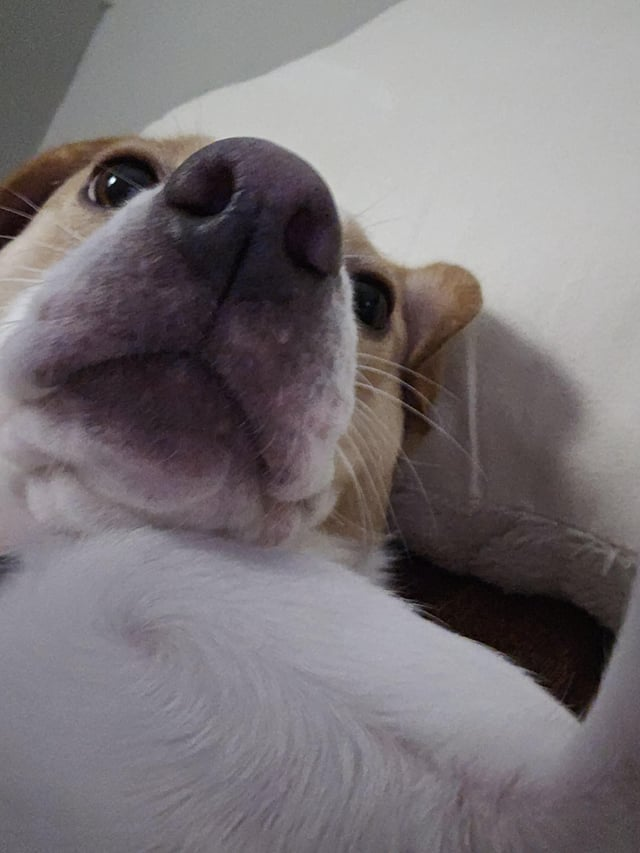 Cheezburger Image 10613281280