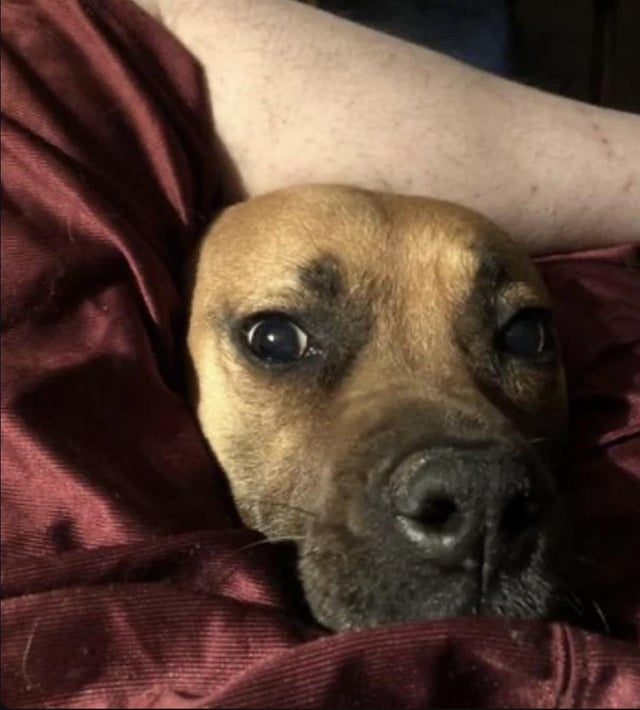 Cheezburger Image 10613281792