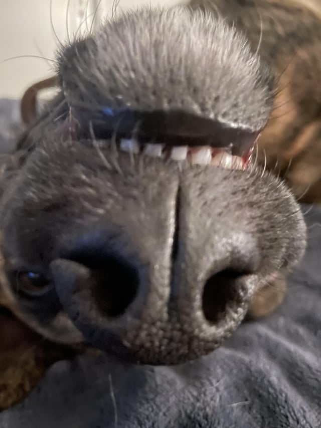 Cheezburger Image 10613282048