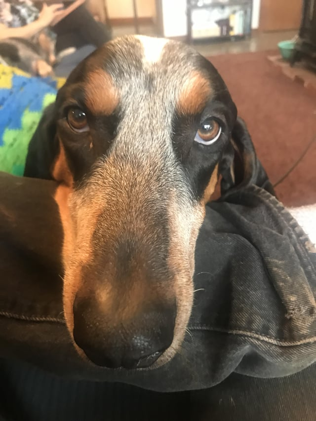 Cheezburger Image 10613282304