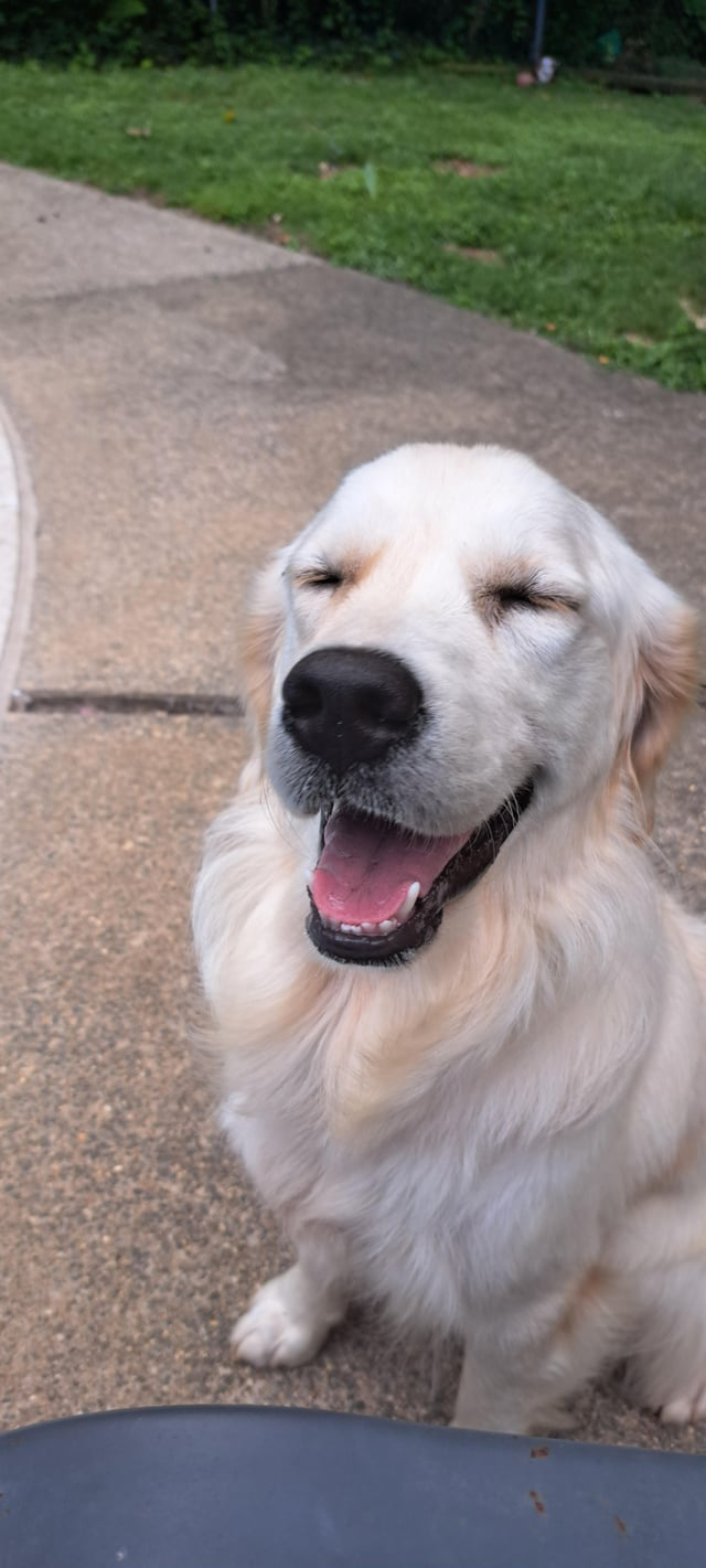 Cheezburger Image 10613283072