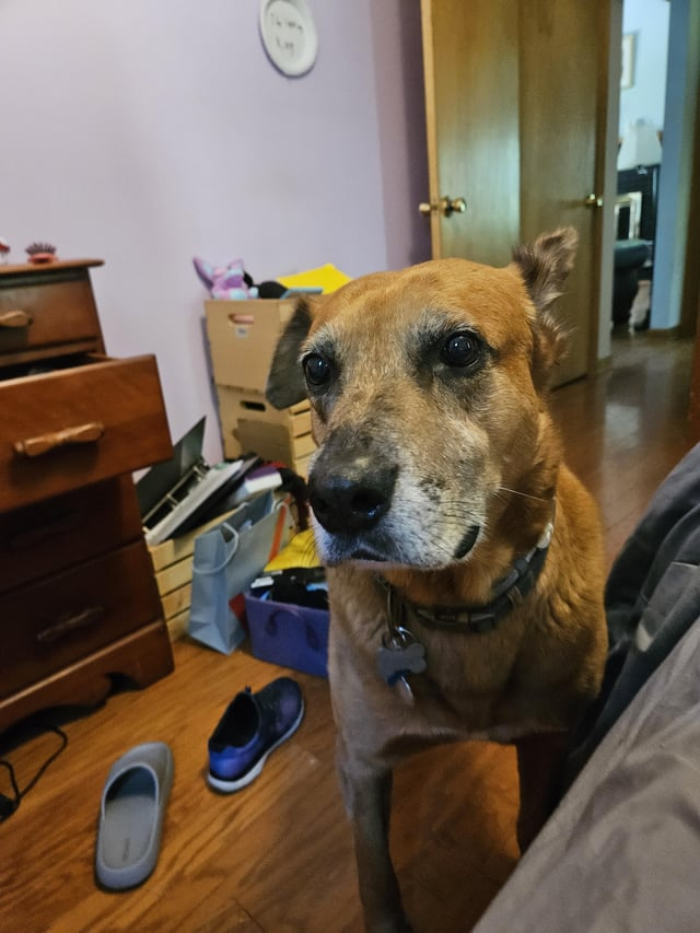 Cheezburger Image 10613283328