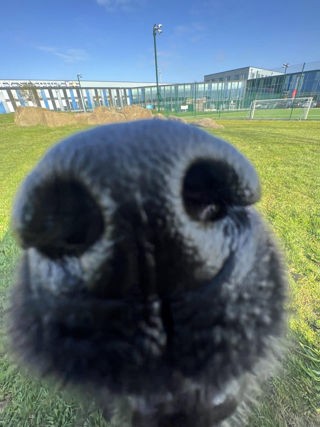 Cheezburger Image 10613283840