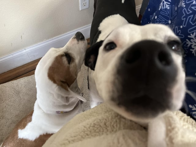 Cheezburger Image 10613284096