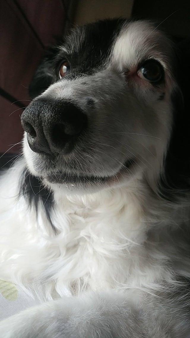 Cheezburger Image 10613284864