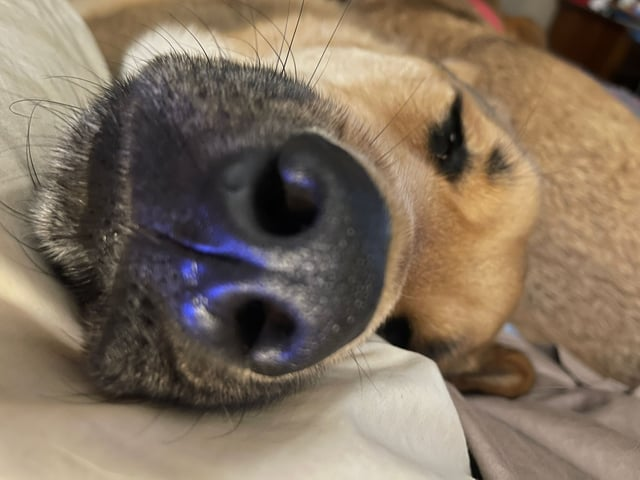 Cheezburger Image 10613285376